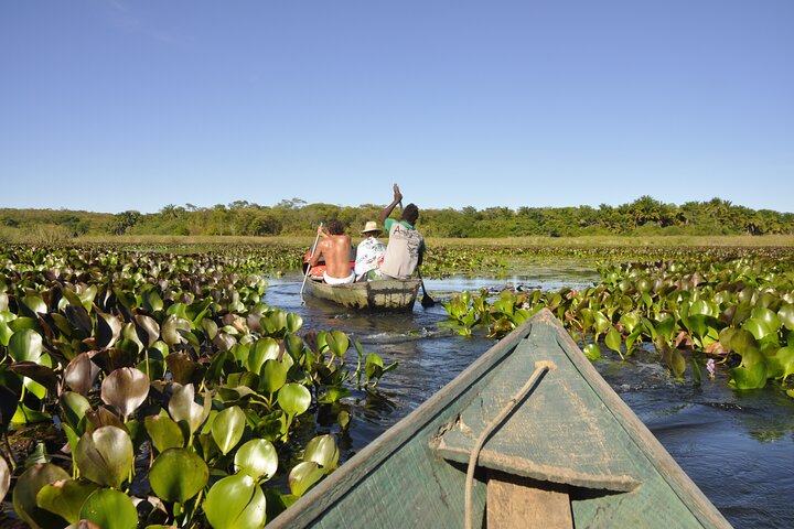 Passeio turistico – Pantanal Marimbus
